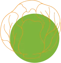 Fruit illustration